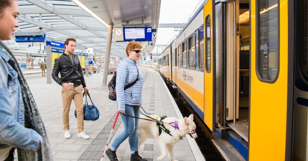 Wheelchairs and mobility scooters in the train Travel information NS