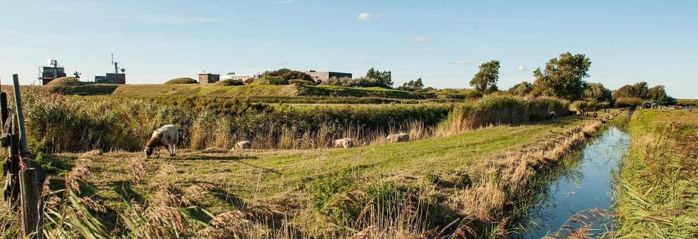 Helderse Duinen