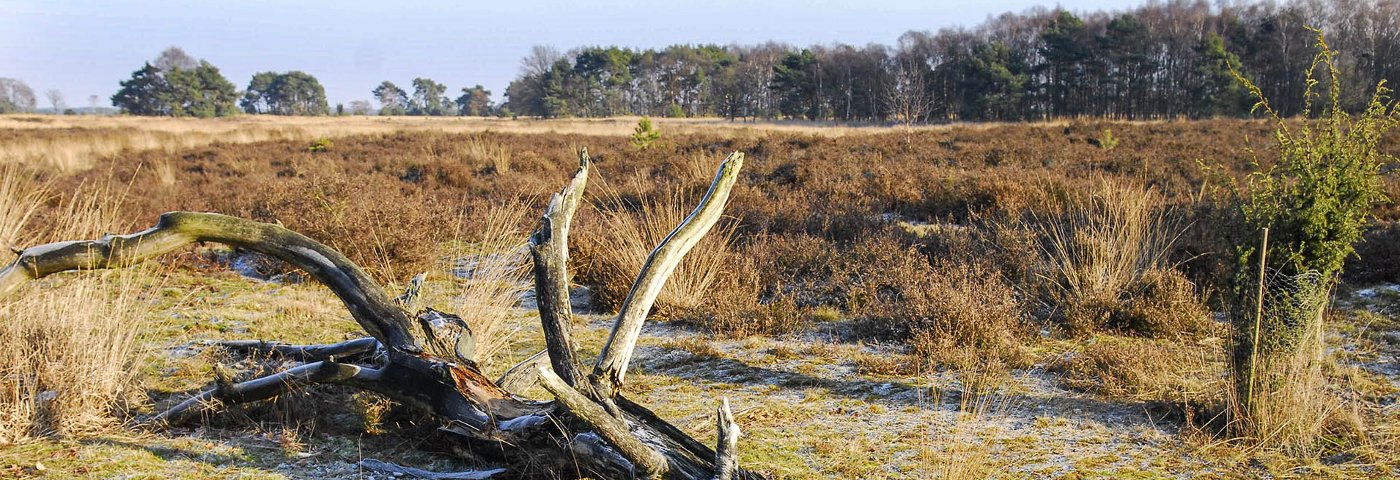 Strabrechtse Heide