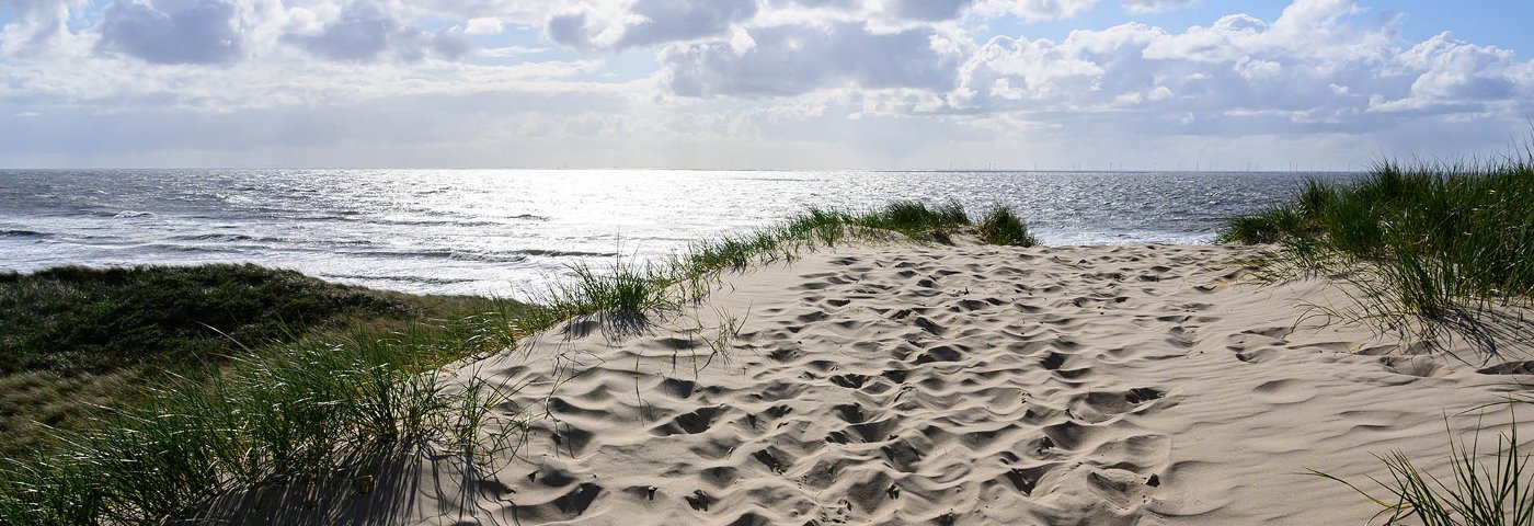 Noord-Hollands Duinreservaat