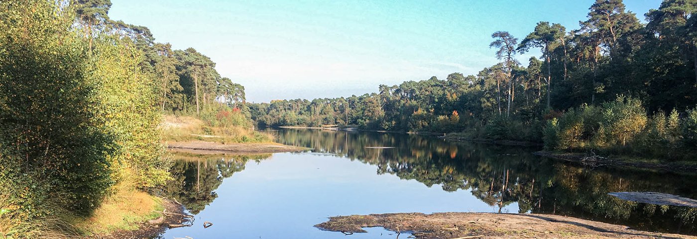 Kampina