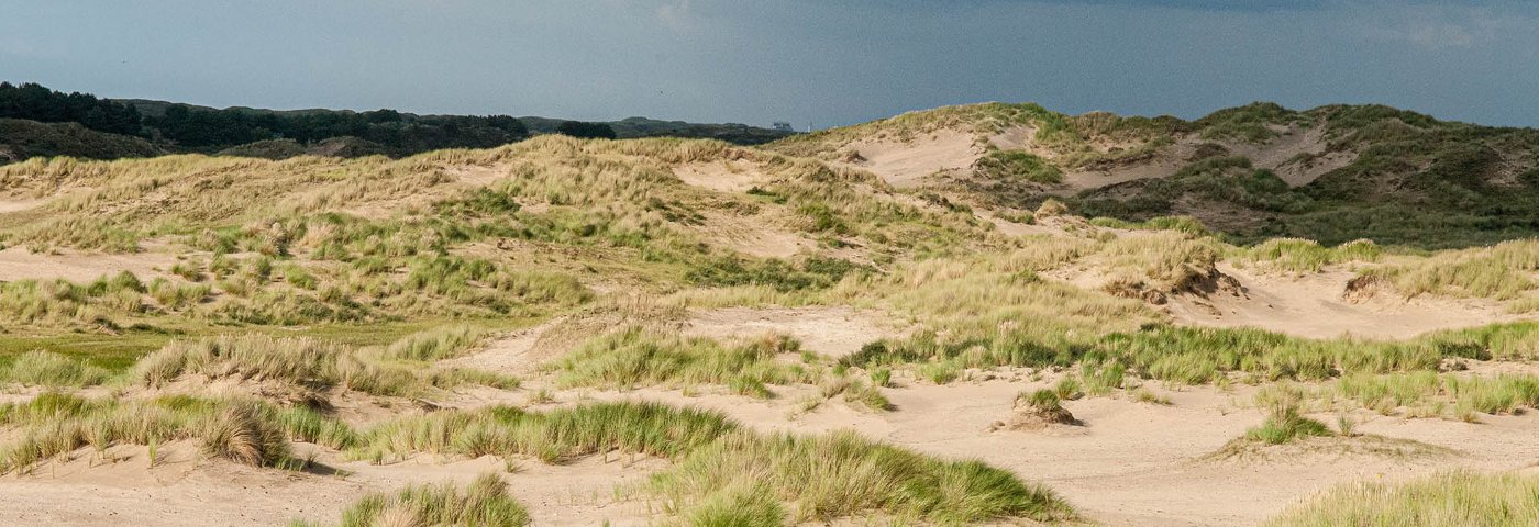 Meijendel